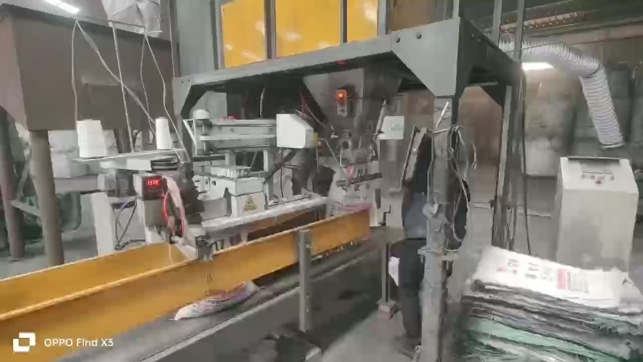 �͑��F(xi��n)��11